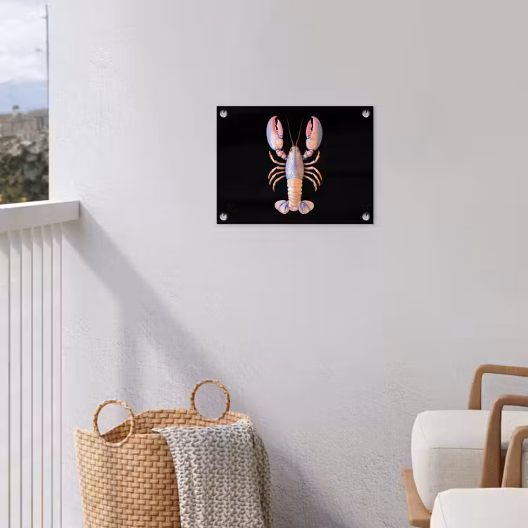 Kreeft - Roze - Zacht - Zwart tuinposter los doek klein -sfeer8