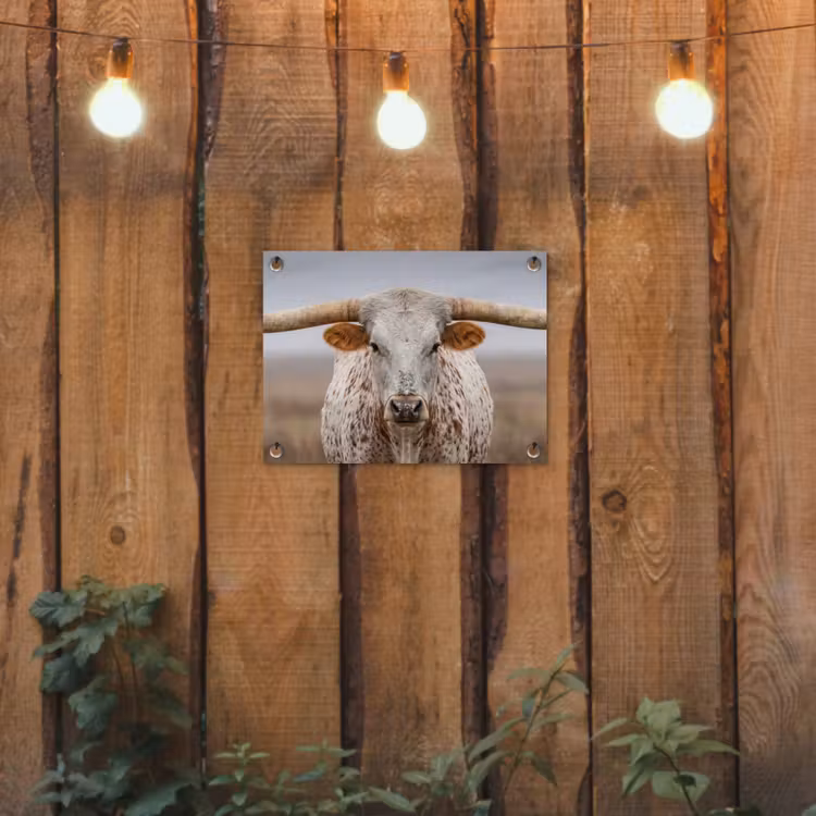 Longhorn - Grasveld - Dier tuinposter los doek klein -sfeer1