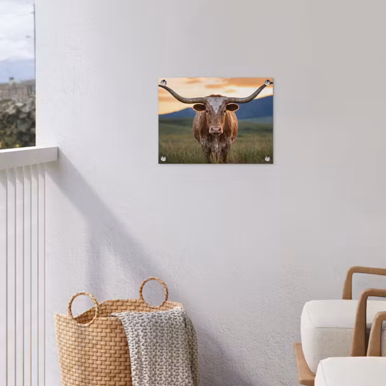 Longhorn - Landschap - Zonsondergang tuinposter los doek klein -sfeer8
