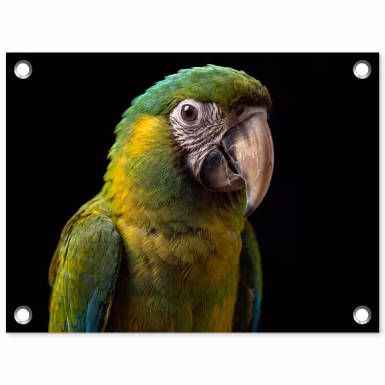 Ara - Portret - Groen tuinposter los doek klein -3d