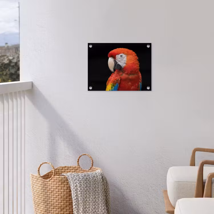 Ara - Portret - Rood tuinposter los doek klein -sfeer8