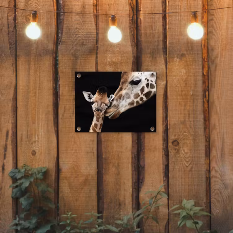 Moederlijke tederheid bij giraffen tuinposter los doek klein -sfeer1