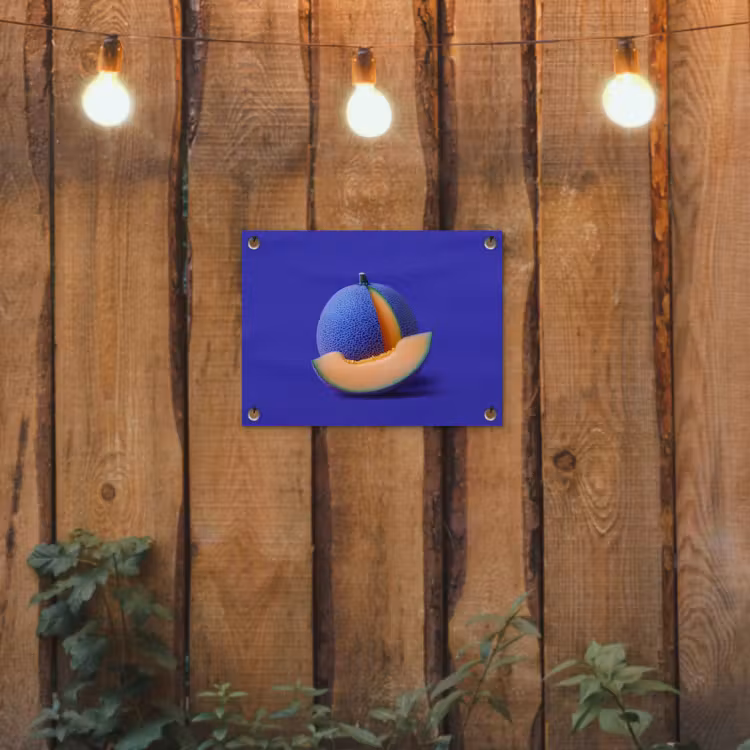 Meloen - Blauw - Oranje - Kunstzinnig tuinposter los doek klein -sfeer1