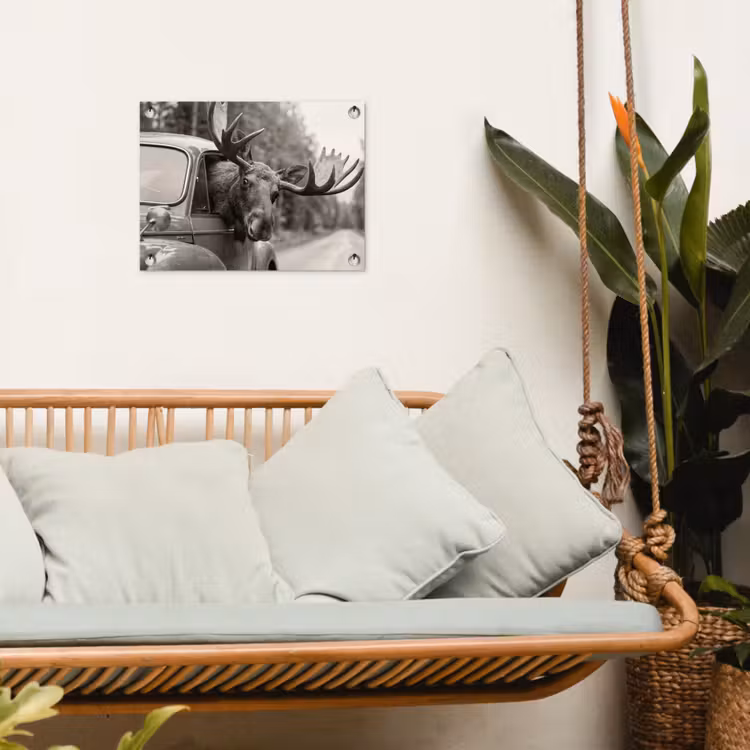 Eland - Auto - Gewei - Zwart - Wit tuinposter los doek klein -sfeer7