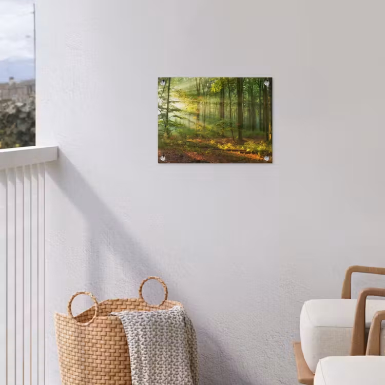 Ochtendlicht in het bos tuinposter los doek klein -sfeer8