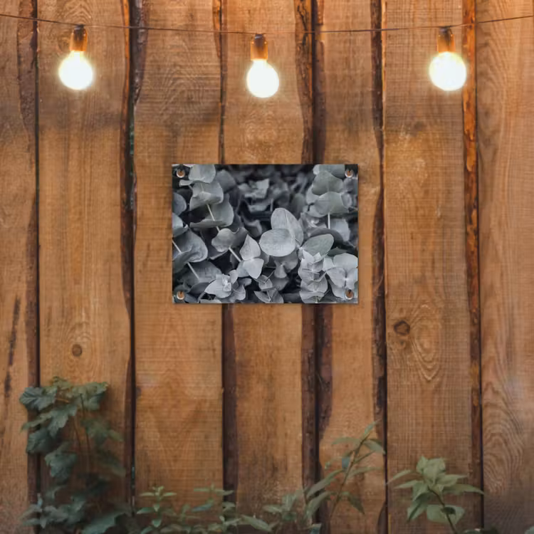 Natuur - Planten - Eucalyptus - Bladeren tuinposter los doek klein -sfeer1