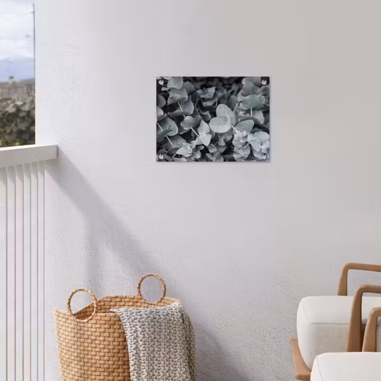 Natuur - Planten - Eucalyptus - Bladeren tuinposter los doek klein -sfeer8