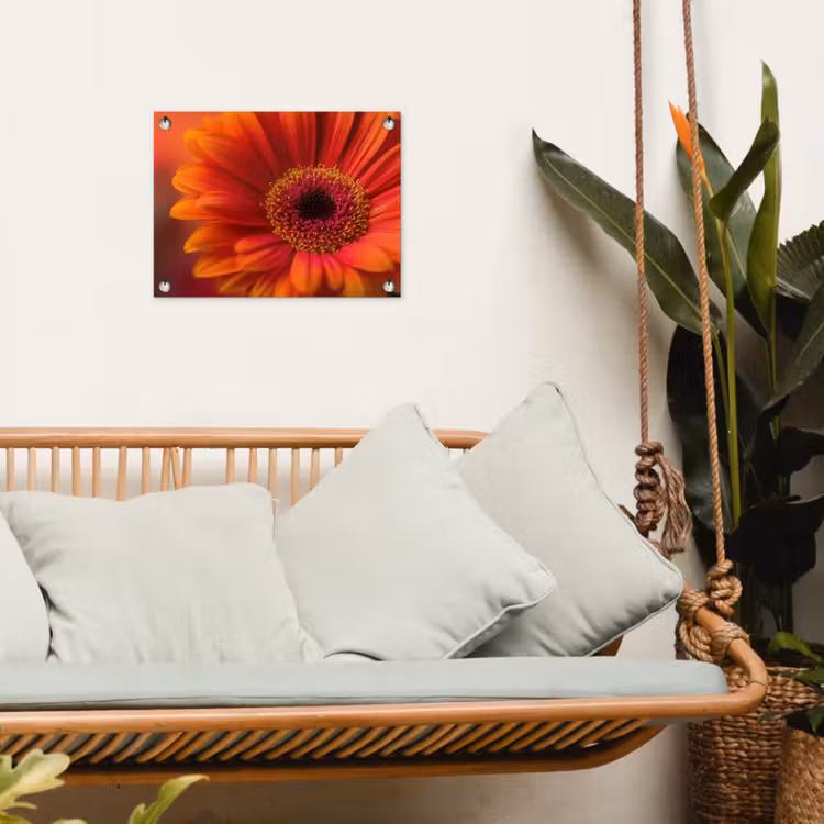Oranje - Gerbera - Intens tuinposter los doek klein -sfeer7