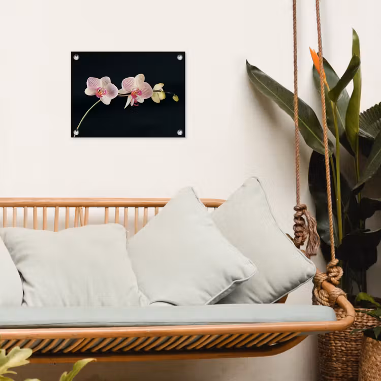 Orchidee - Bloemen - Zwart - Roze - Knoppen tuinposter los doek klein -sfeer7