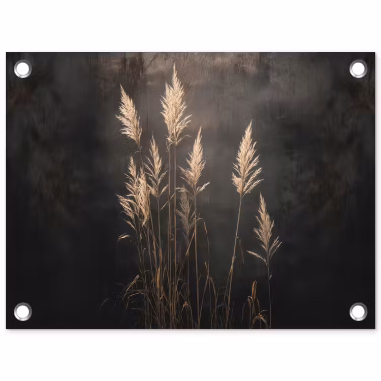 Siergras - Pluimen - Verlichting - Zwart tuinposter los doek klein -3d
