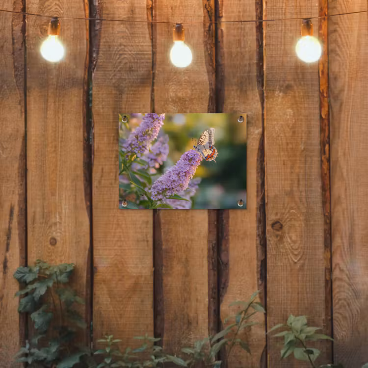 Sierlijke - Vlinder - Paarse - Bloemen tuinposter los doek klein -sfeer1