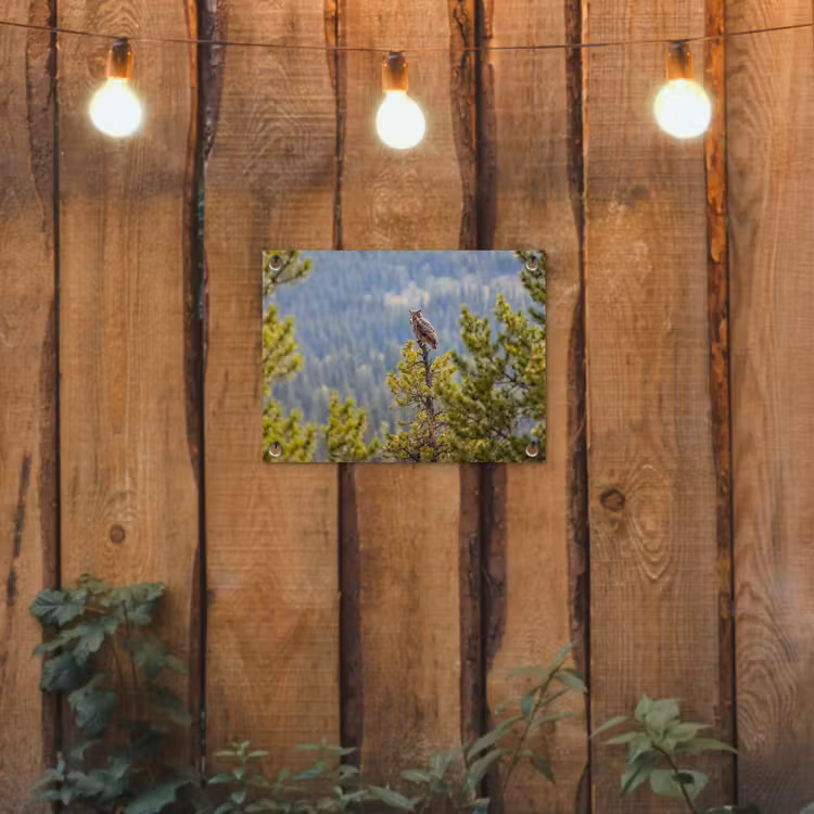 Uil - Oehoe - Bomen - Natuur tuinposter los doek klein -sfeer1