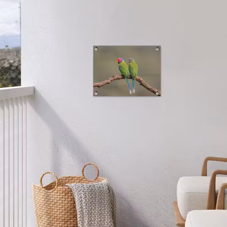 Papagaai - Tak - Natuur - Kleurrijk tuinposter los doek klein -sfeer8