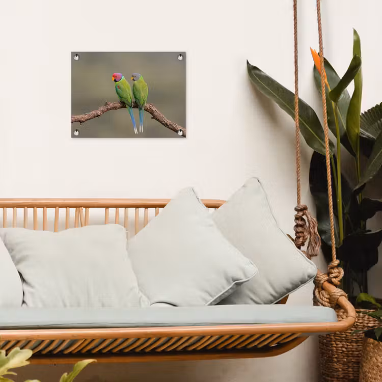 Papagaai - Tak - Natuur - Kleurrijk tuinposter los doek klein -sfeer7