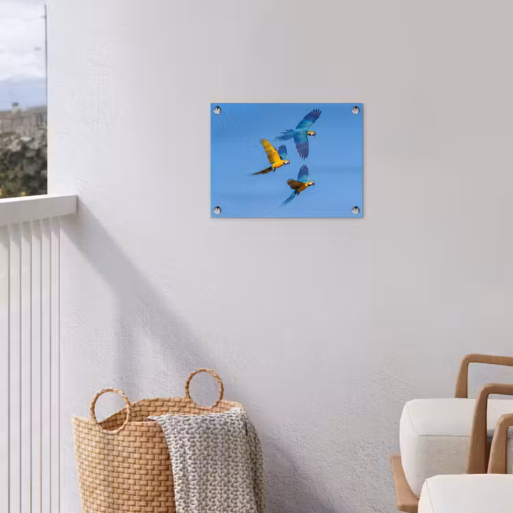 Papagaai - Vliegen - Blauw - Geel tuinposter los doek klein -sfeer8