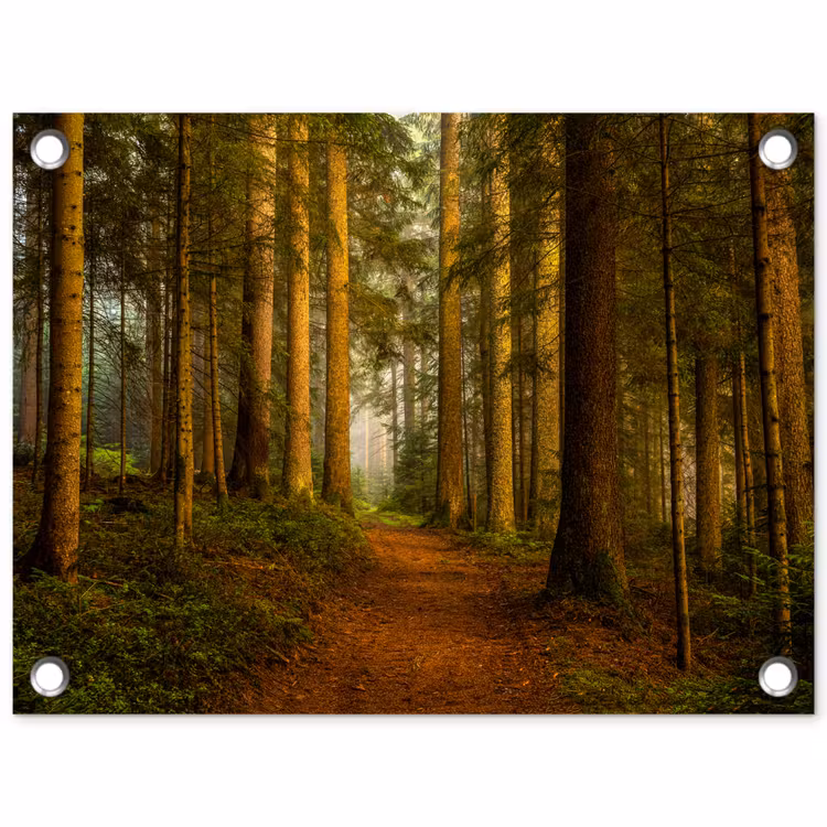 Pad door majestueus dennenbos tuinposter los doek klein -3d