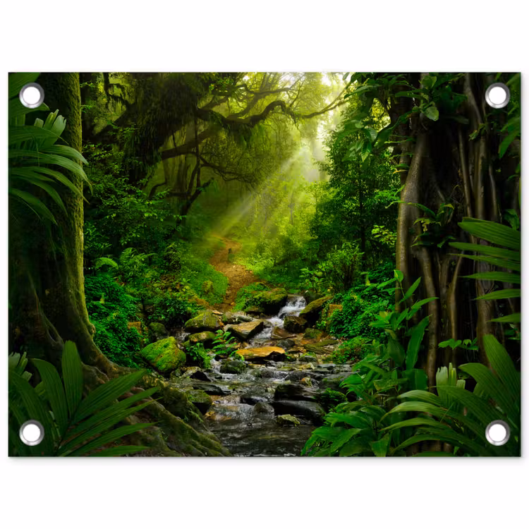 Pad door het Regenwoud tuinposter los doek klein -3d