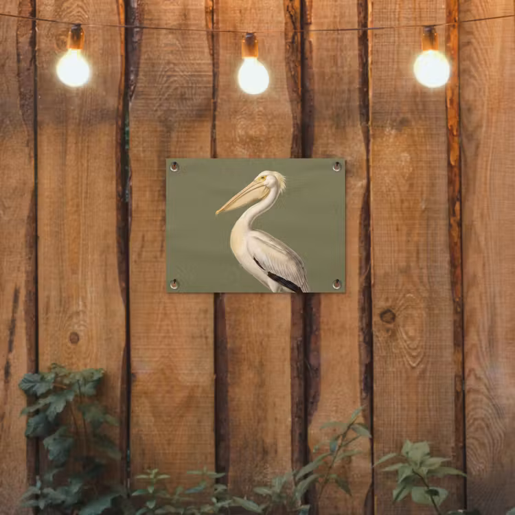 Pelikaan - Wit - Vogel - Klassiek - Natuur tuinposter los doek klein -sfeer1