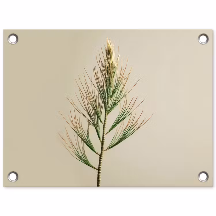 Dennentak - Naaldvormige bladeren - Lichtgroen tuinposter los doek klein -3d