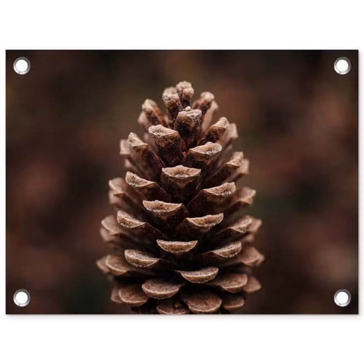 Dennenappel - Bos - Herfst - Bruin - Sfeervol tuinposter los doek klein -3d