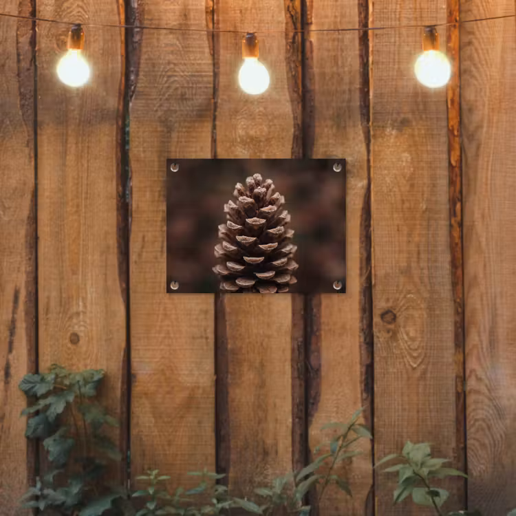 Dennenappel - Bos - Herfst - Bruin - Sfeervol tuinposter los doek klein -sfeer1