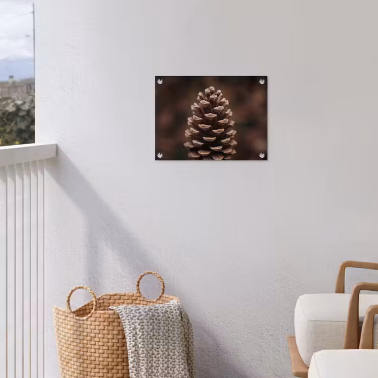 Dennenappel - Bos - Herfst - Bruin - Sfeervol tuinposter los doek klein -sfeer8