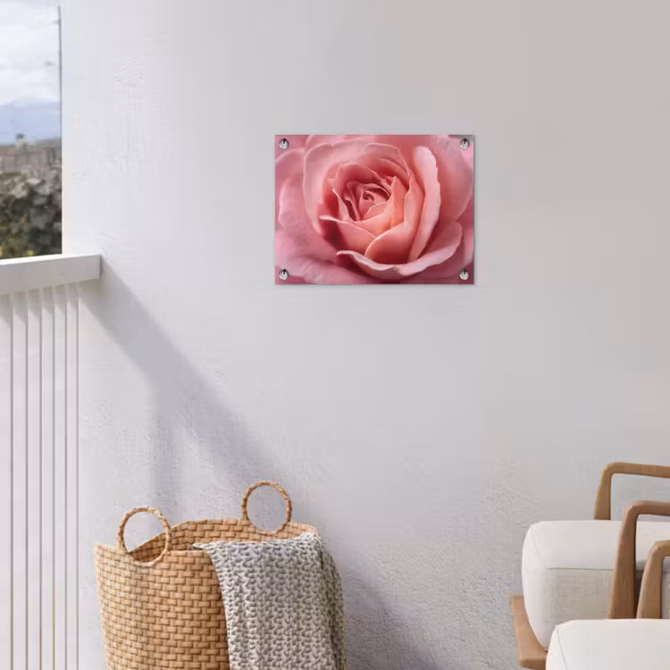 Roze - Roos - Romantisch tuinposter los doek klein -sfeer8
