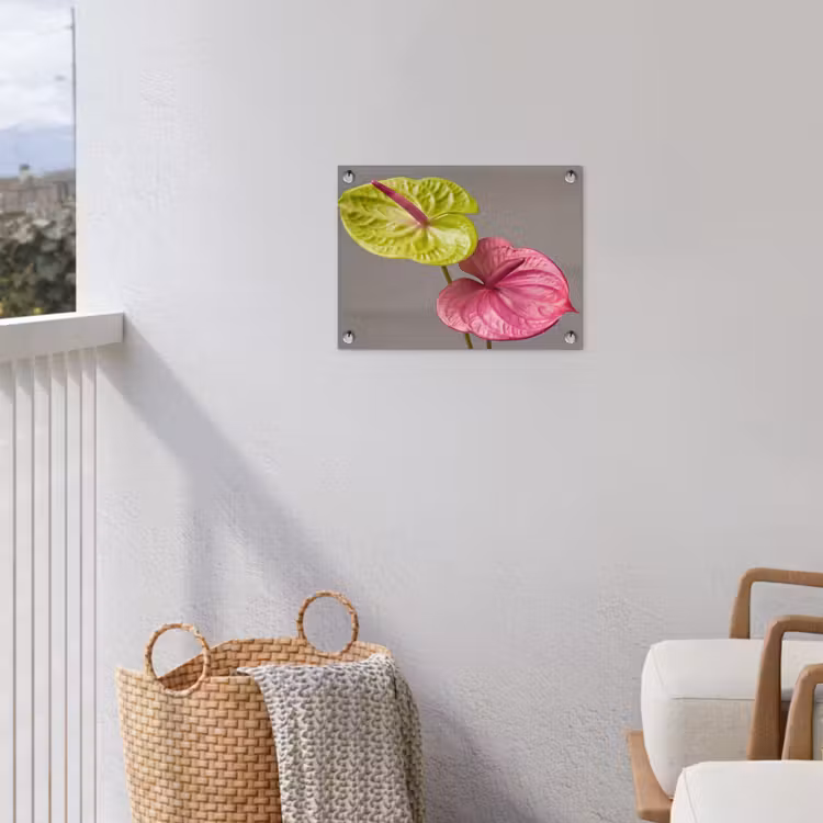 Planten - Anthurium - Groen - Roze tuinposter los doek klein -sfeer8