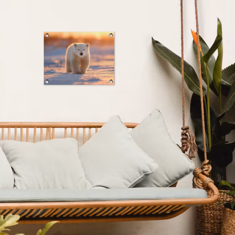 Ijsbeer - Sneeuw - Zonsopgang tuinposter los doek klein -sfeer7