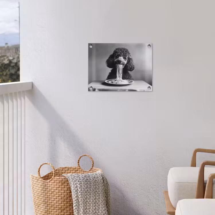 Poedel - Hond - Zwart - Wit - Schattig - Pasta tuinposter los doek klein -sfeer8