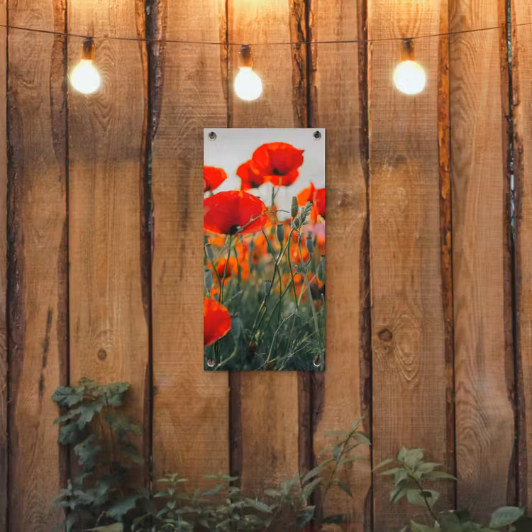 Klaprozen in close-up bij zonsondergang tuinposter los doek klein -sfeer1
