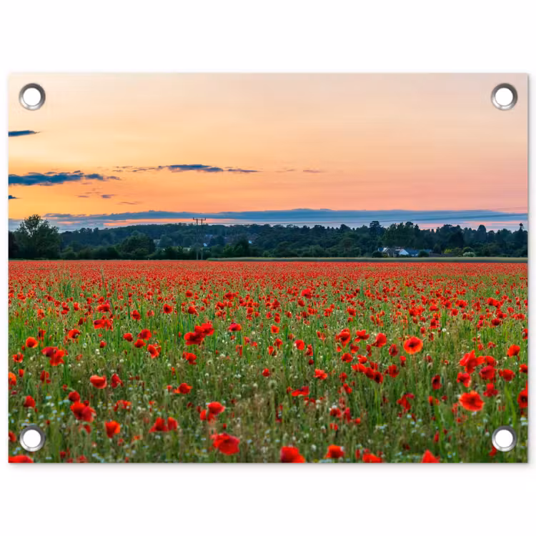 Klaprozen - Landschap - Rood - Bloemen tuinposter los doek klein -3d