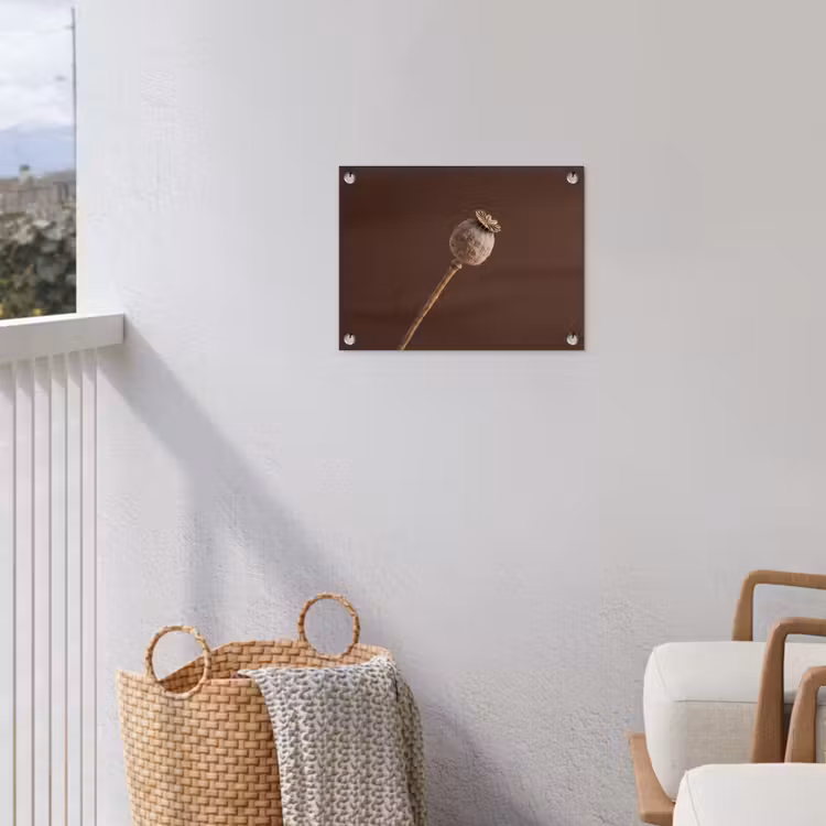 Papaverbol - Droogbloem - Bruin - Minimalistisch tuinposter los doek klein -sfeer8