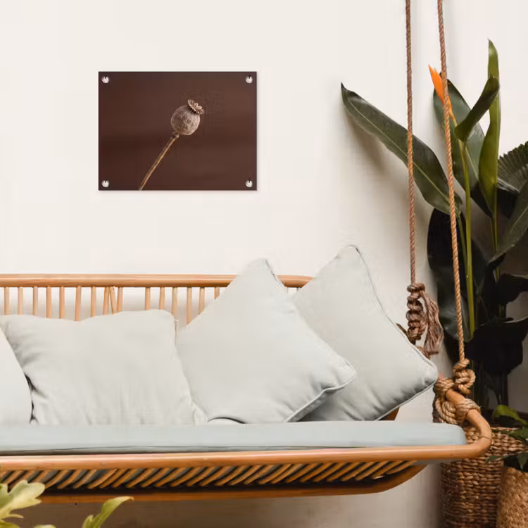 Papaverbol - Droogbloem - Bruin - Minimalistisch tuinposter los doek klein -sfeer7