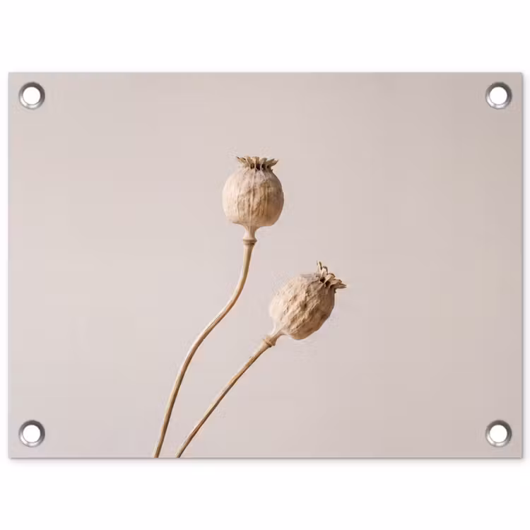 Papaverbollen - Droogbloemen - Minimalistisch - Beige - Rustig tuinposter los doek klein -3d