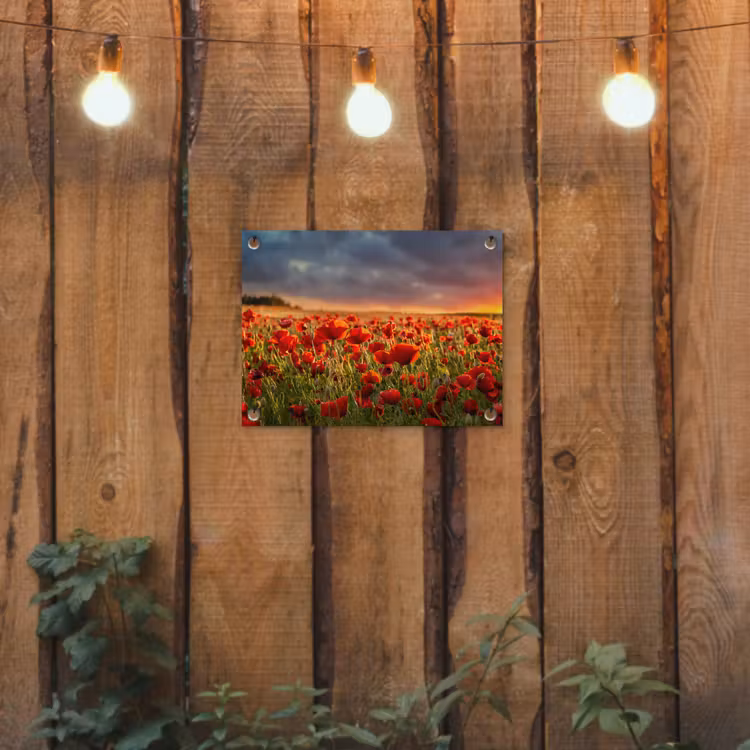 Klaprozenveld bij zonsondergang tuinposter los doek klein -sfeer1