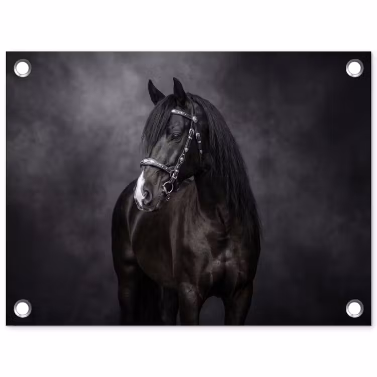 Portret - Paard - Zwart tuinposter los doek klein -3d
