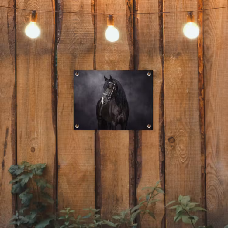 Portret - Paard - Zwart tuinposter los doek klein -sfeer1