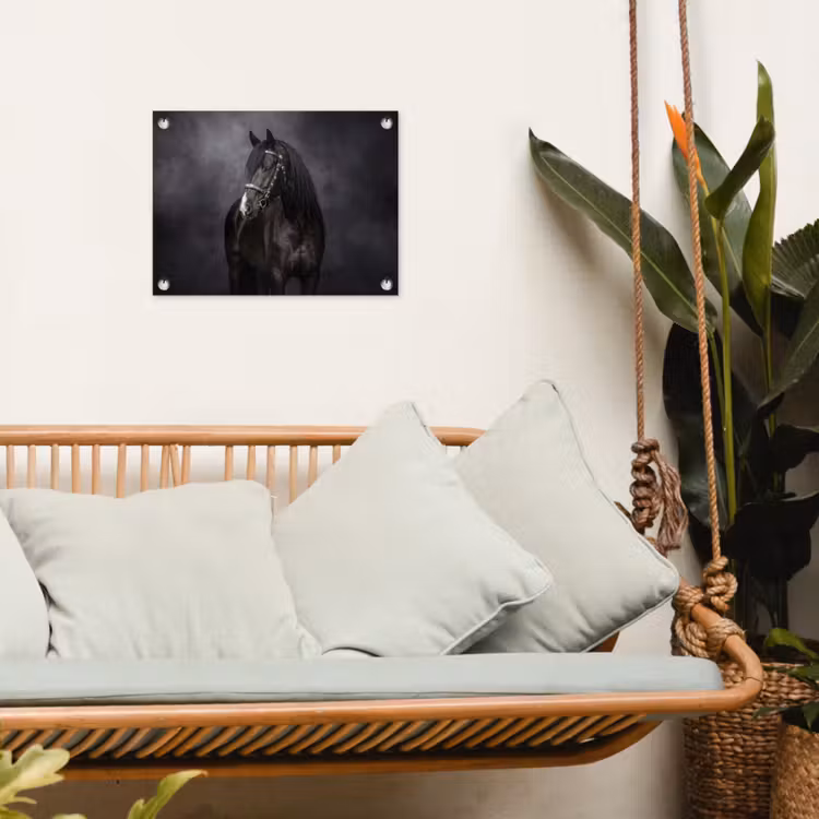 Portret - Paard - Zwart tuinposter los doek klein -sfeer7