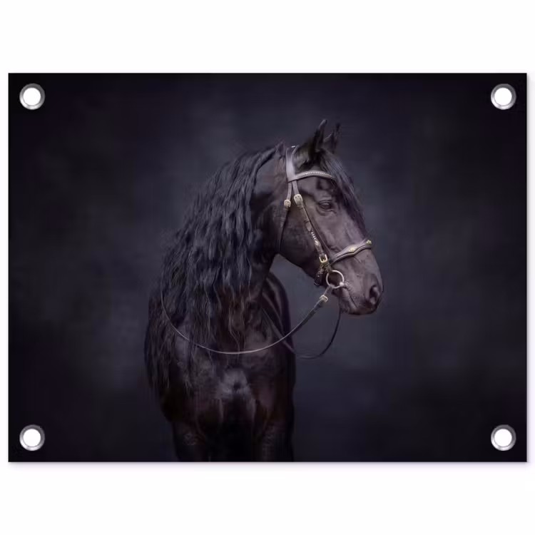 Portret - Paard - Donker tuinposter los doek klein -3d