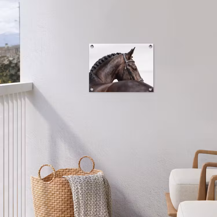 Portret - Paard - Elegant tuinposter los doek klein -sfeer8