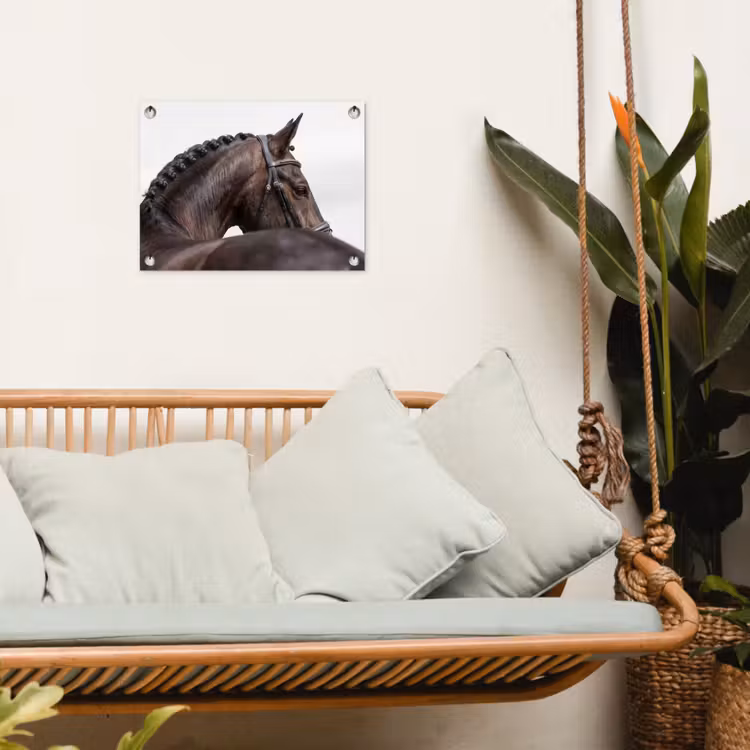 Portret - Paard - Elegant tuinposter los doek klein -sfeer7