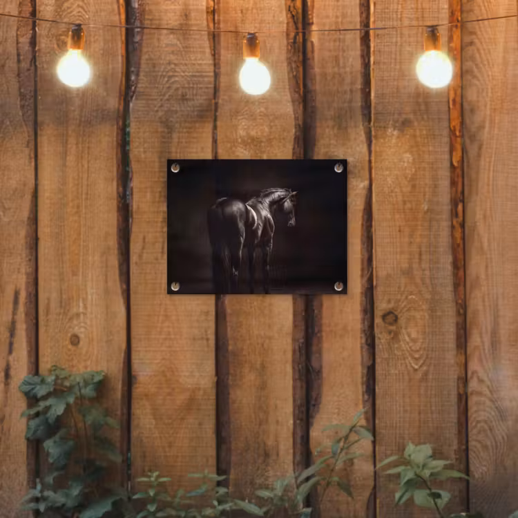 Krachtig - Paard - Donker tuinposter los doek klein -sfeer1