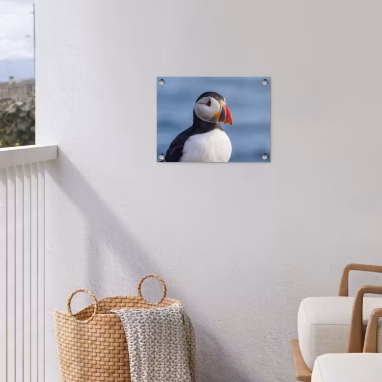 Papegaaiduiker - Portret - Natuur tuinposter los doek klein -sfeer8
