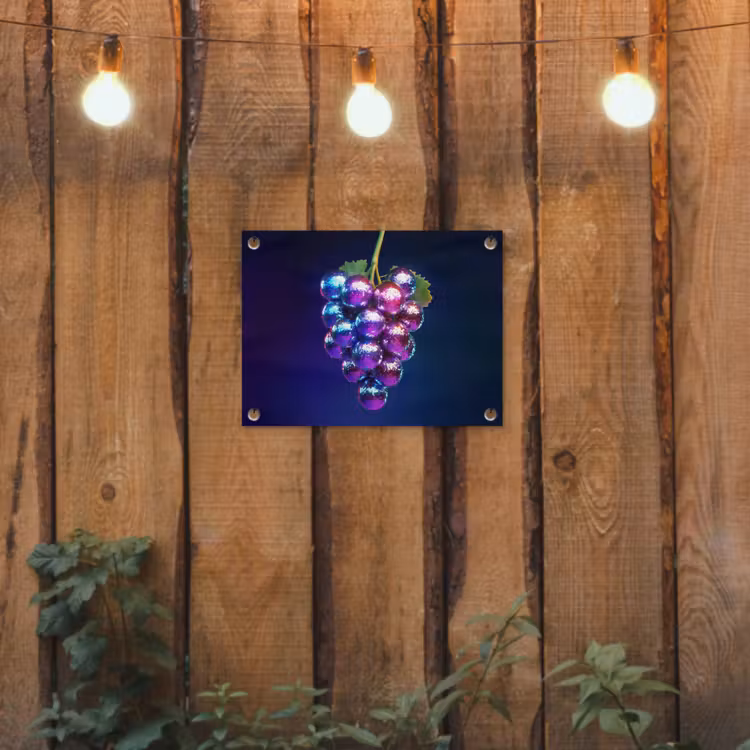 Paars - Disco - Feest - Druif tuinposter los doek klein -sfeer1