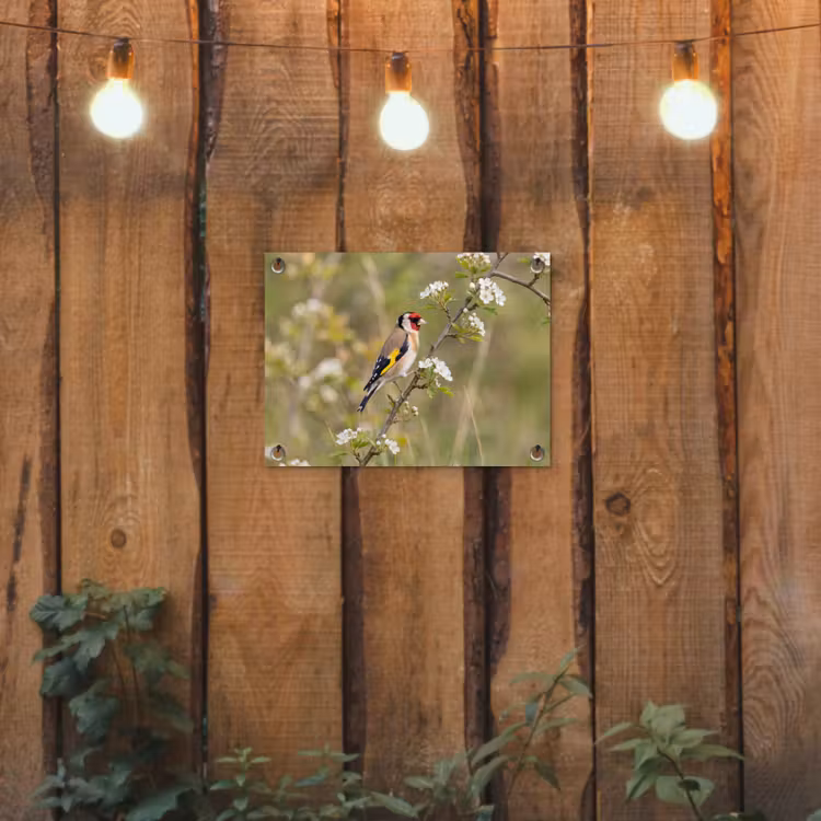 Putter - Bloesem - Lente - Natuur - Kleurrijk tuinposter los doek klein -sfeer1