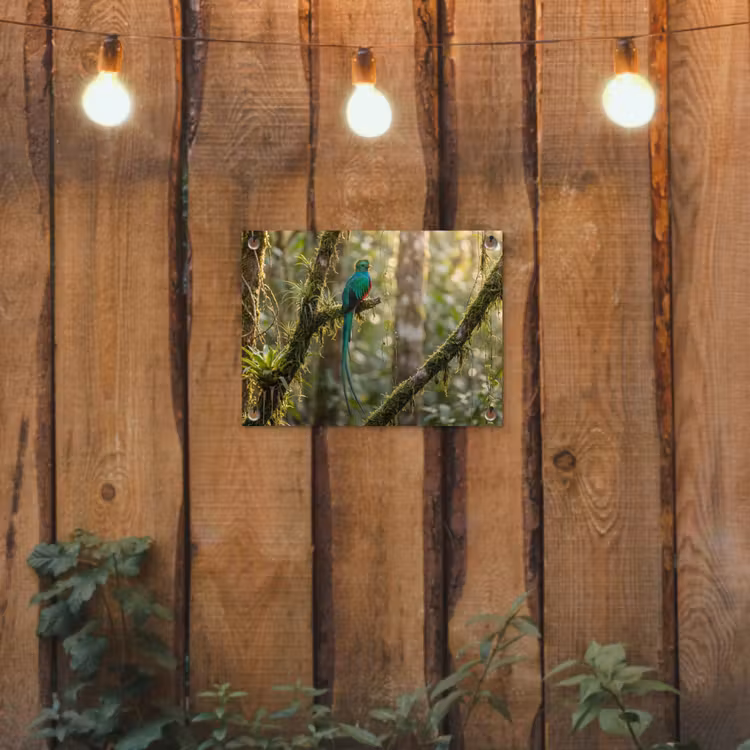 Quetzal - Jungle - Natuur - Groen tuinposter los doek klein -sfeer1