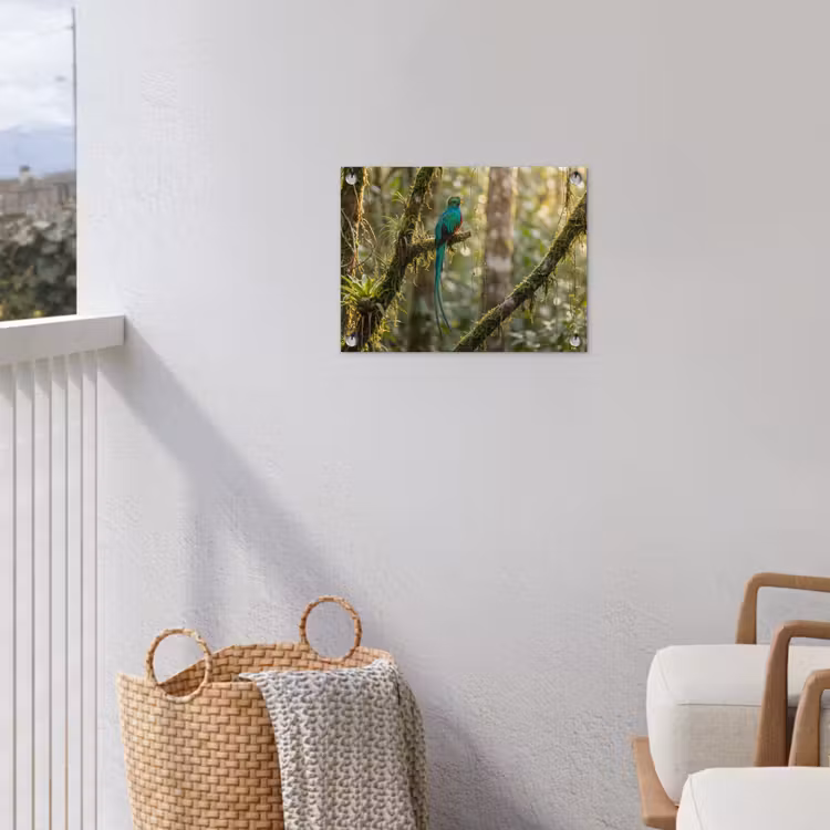 Quetzal - Jungle - Natuur - Groen tuinposter los doek klein -sfeer8