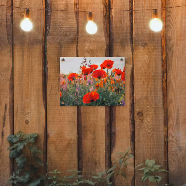 Rode klaprozen in de avondzon tuinposter los doek klein -sfeer1