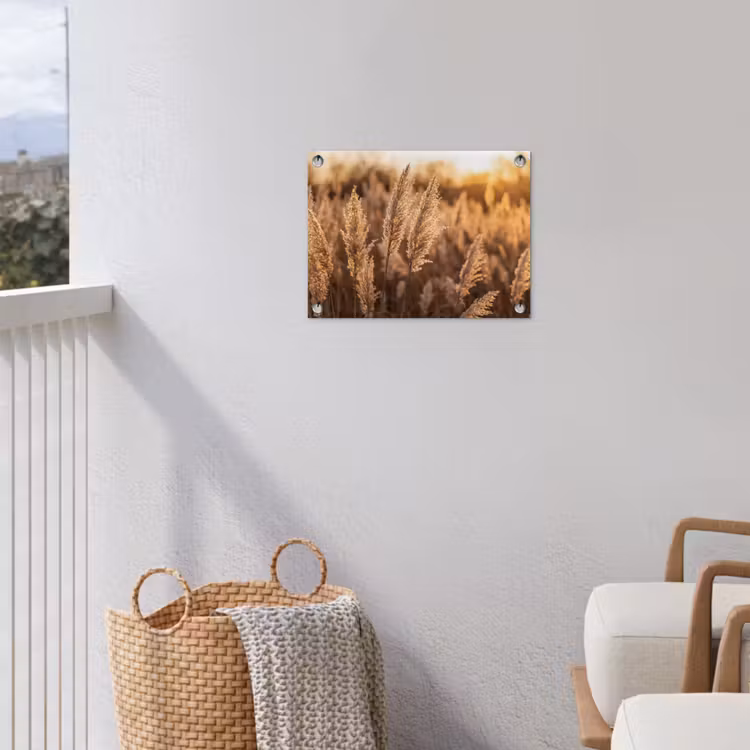 Rietpluimen - Gras - Zonsondergang - Goud - Serene tuinposter los doek klein -sfeer8